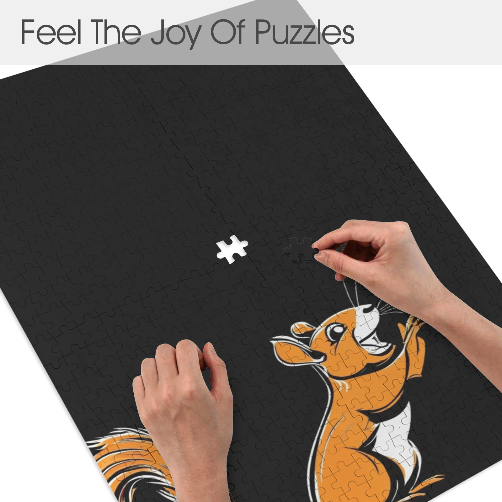 047dc0204d1474b20f86b8529c120949 Fun Squirrel