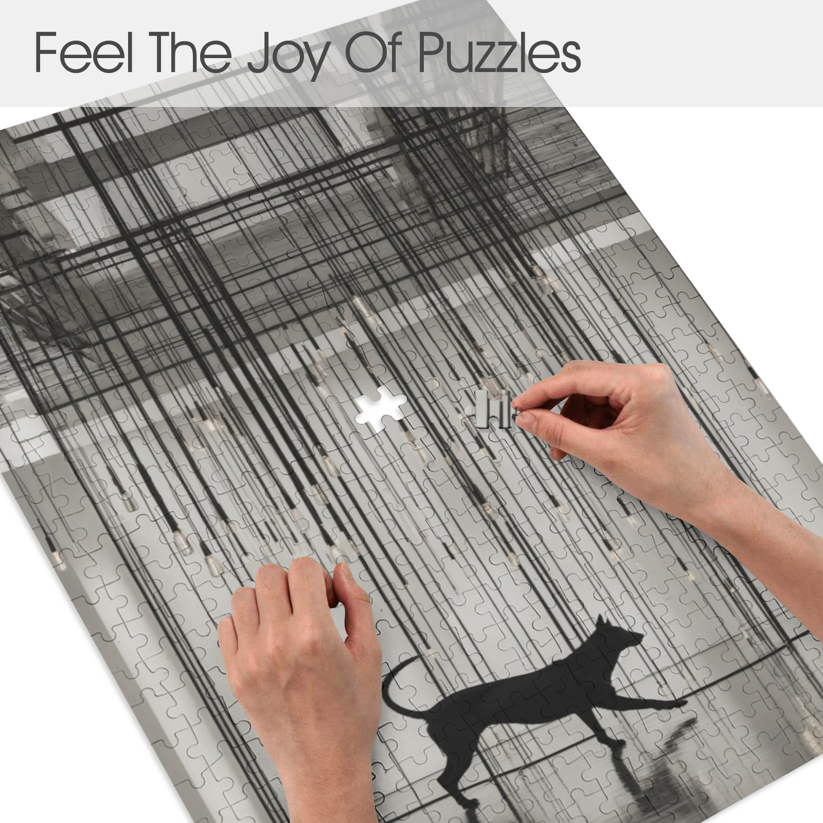 3aac7c7d90d8ac1f39f1e74f263d8329 Shadow Dog Art