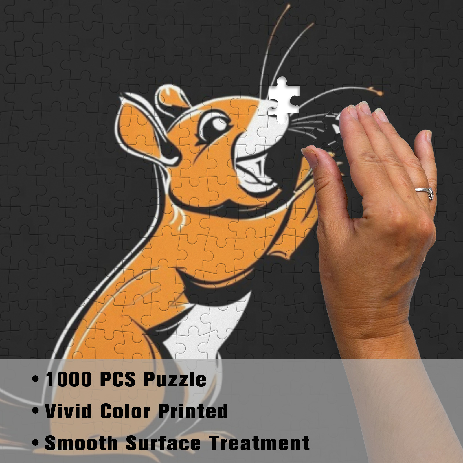 7febb25b7470012ea7c0e728f5fdf74c Fun Squirrel