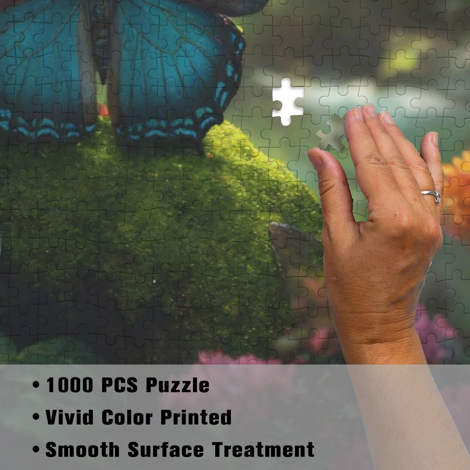 ca127891d68f3e19b7dd9d3352734e0c Fluttering Horizons Landscape Butterfly